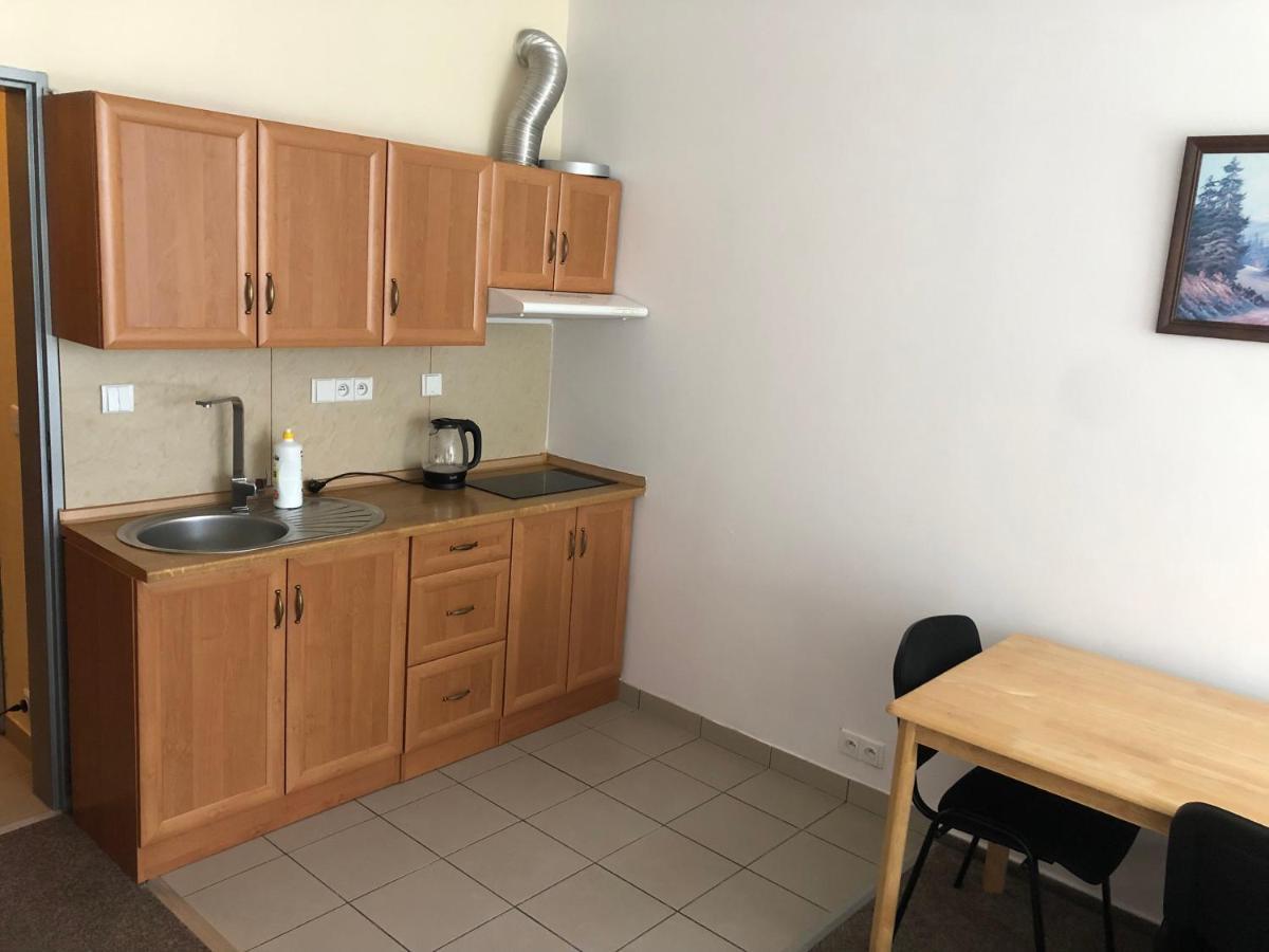 Apartment Certovka Harrachov Extérieur photo